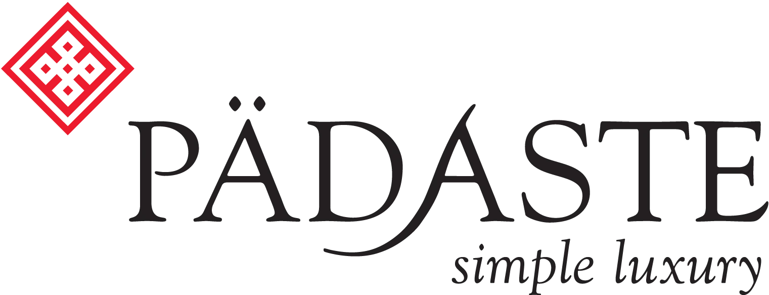 Padastelogo ai
