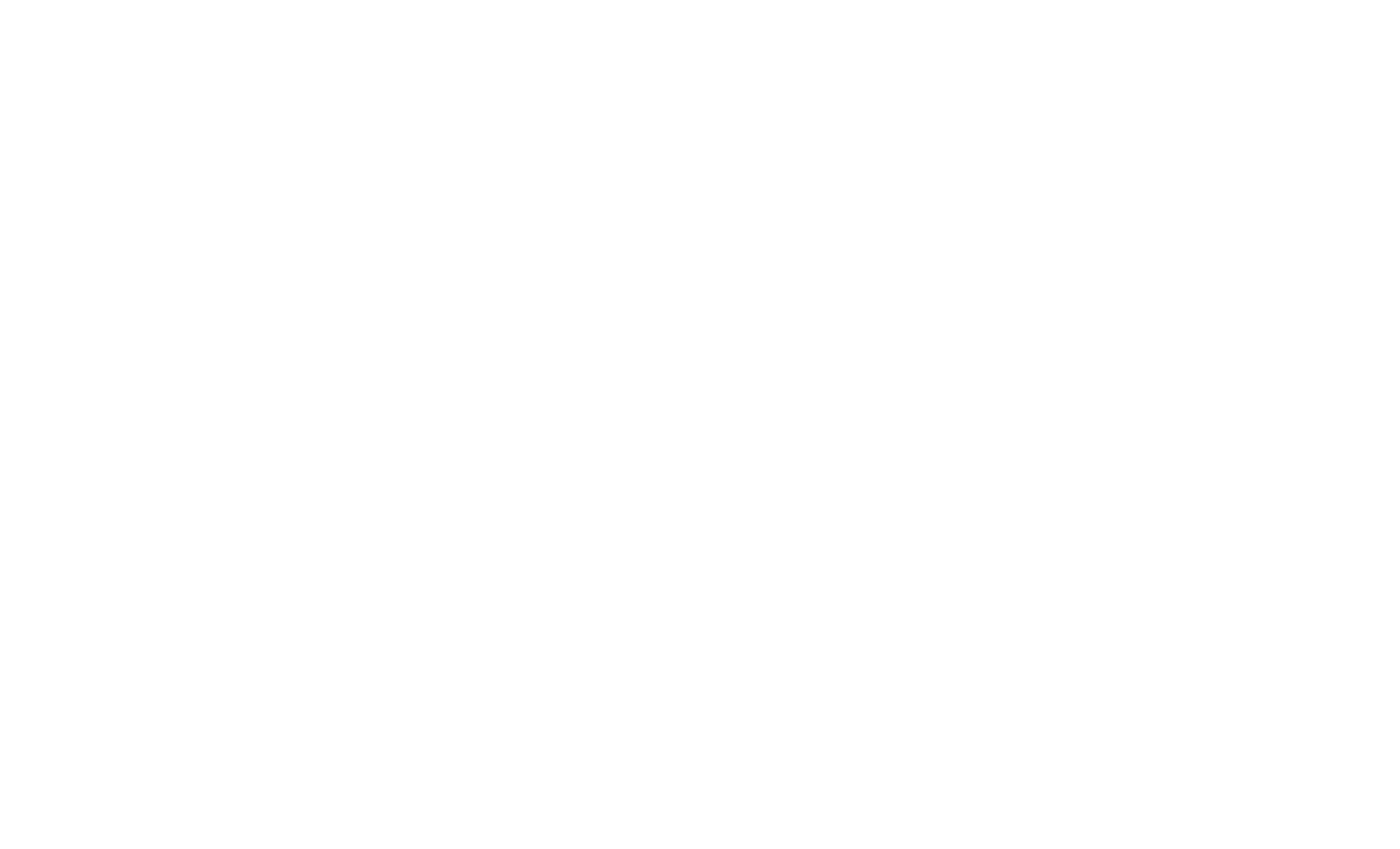 lazy bikes logo white