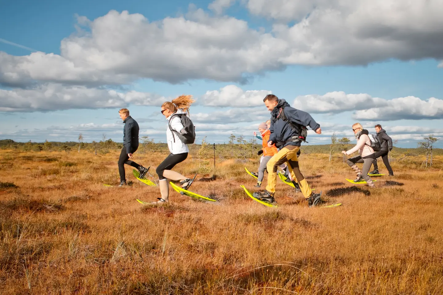 Purva brideji bogshoe kemeri national park