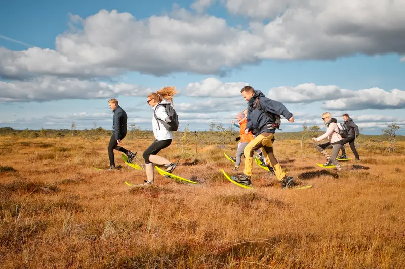 Purva brideji bogshoe kemeri national park