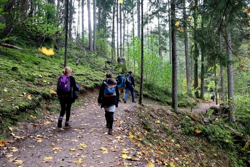 Baltic nature travel Hiking Adventure in Gauja National Park