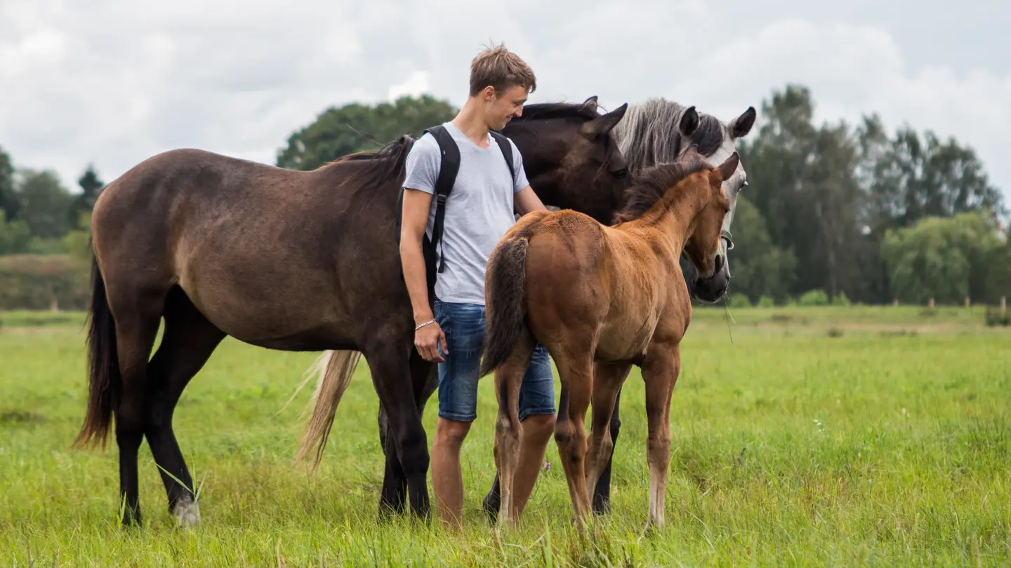 Mana karte Exploring the Gates of the River Daugava