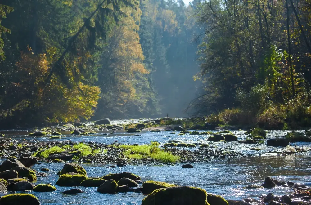 Karlamuiza Country Hotel Hiking and Dining in a Landscape Park