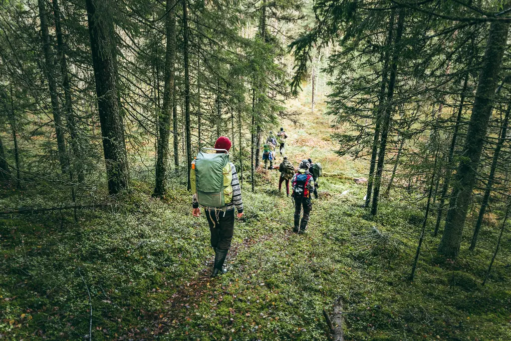 Pretspeks Nature Survival Skills 50H Adventure forest