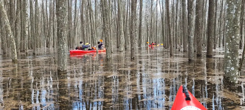 Dvietes Floodplain Springtime Boating in Dviete Floodplain woods
