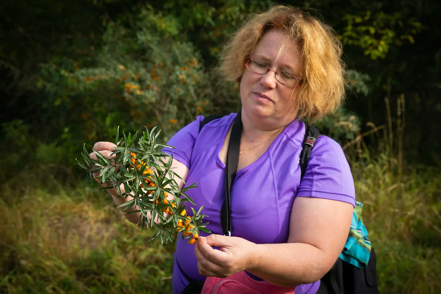 Piegozes Rural Living and Wild Foraging Experience