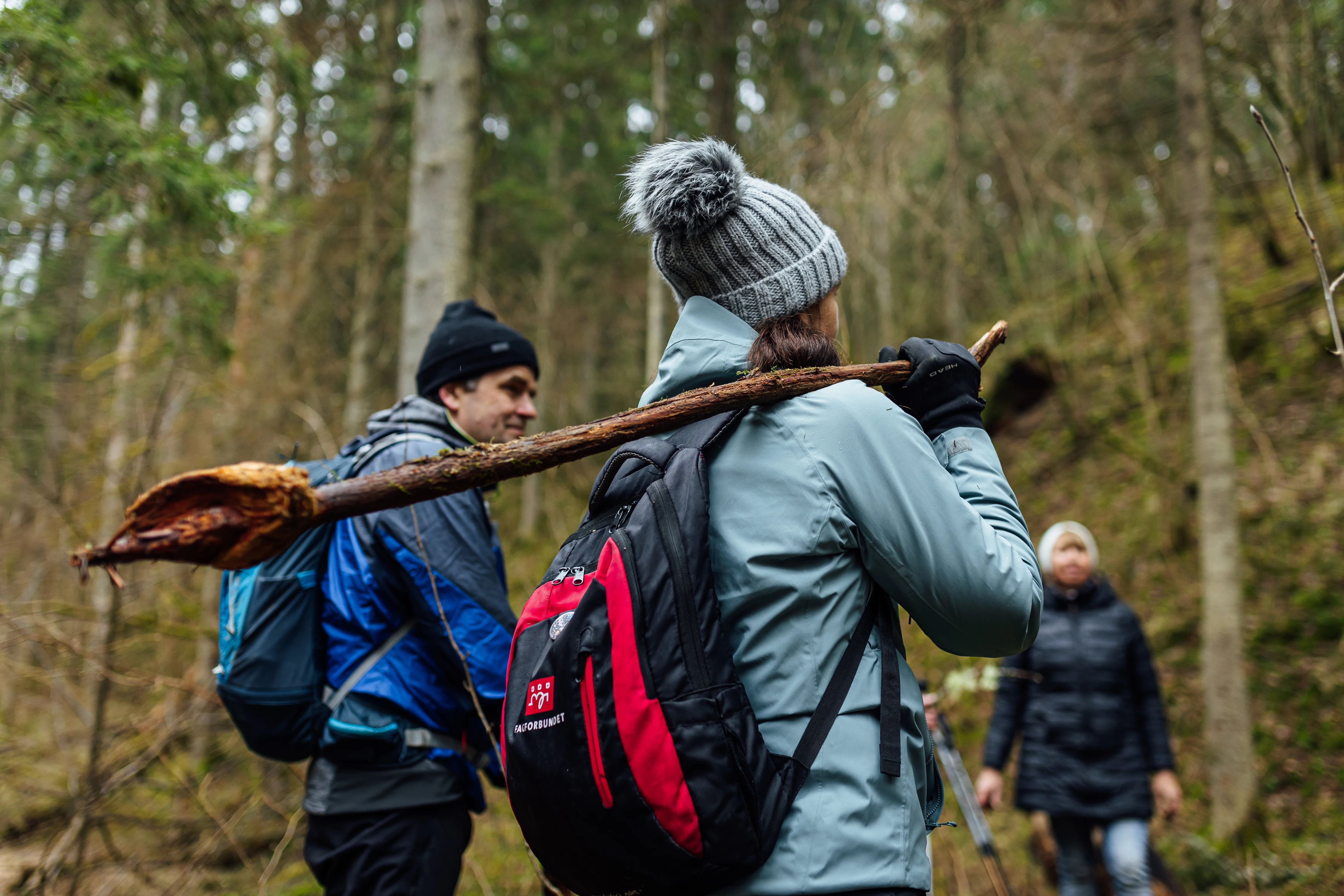 Power Journey Forest Hiking Experience1