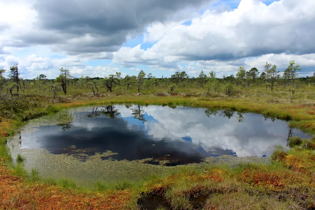 sooma national park 3