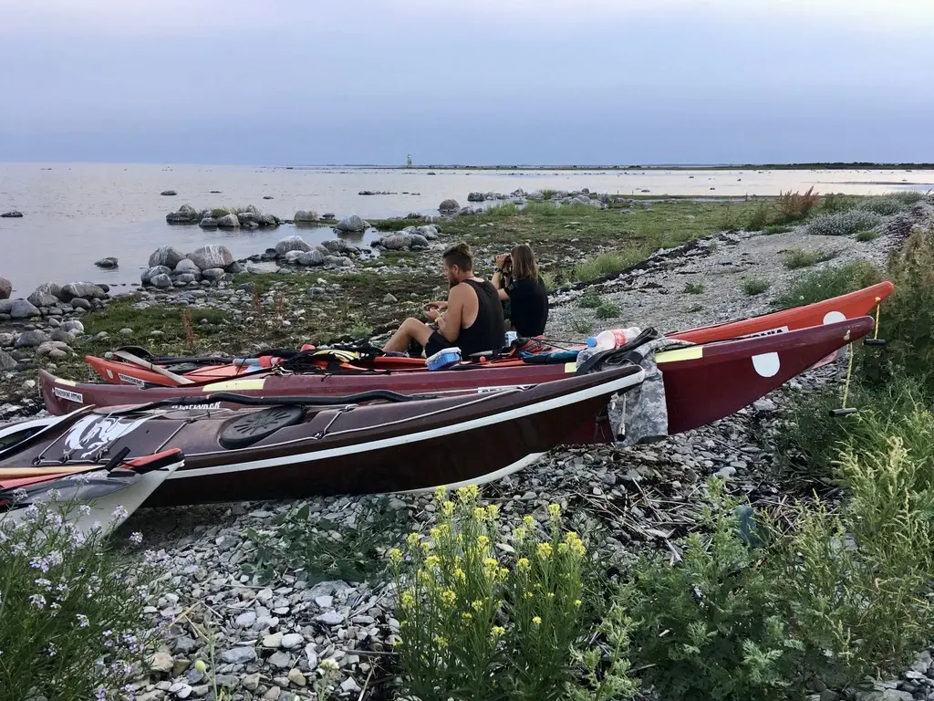 Water activities estonia sea kayaking nature islands guided birdwatching
