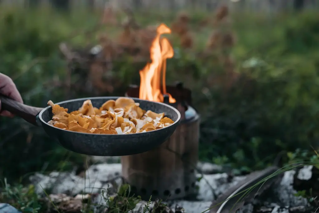Mushrooms outdoor estonian3