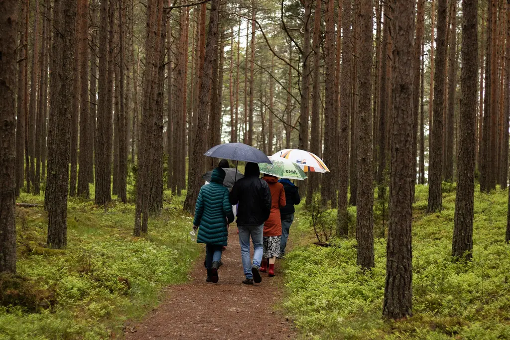 Slitere Guided tour in Slitere National park exploring nature and history of ...