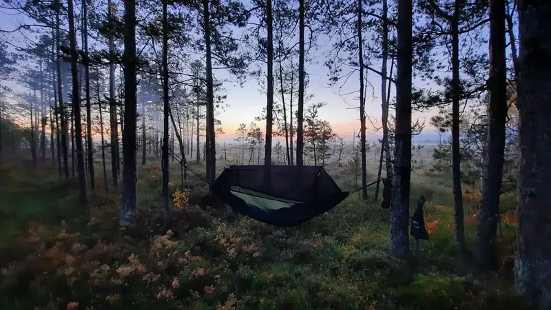Hammock hommik