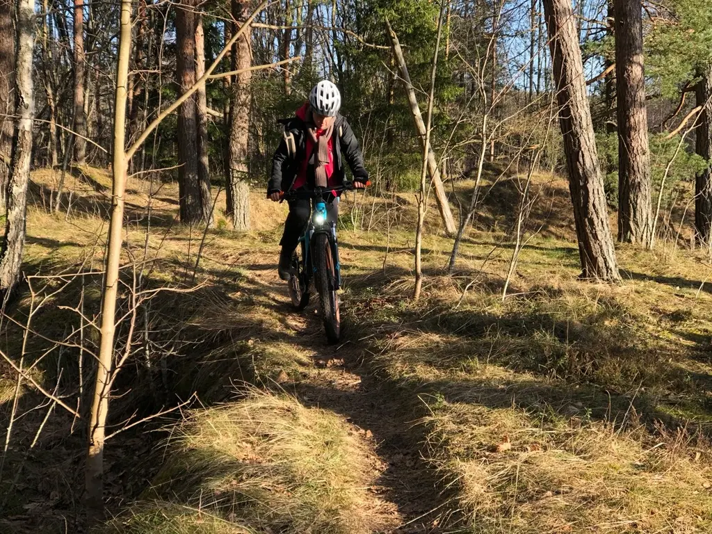 Easy ride e bike Salacgriva Ainazi woods