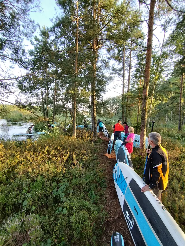 Boards You SUP adventure in Smarde swamp forest