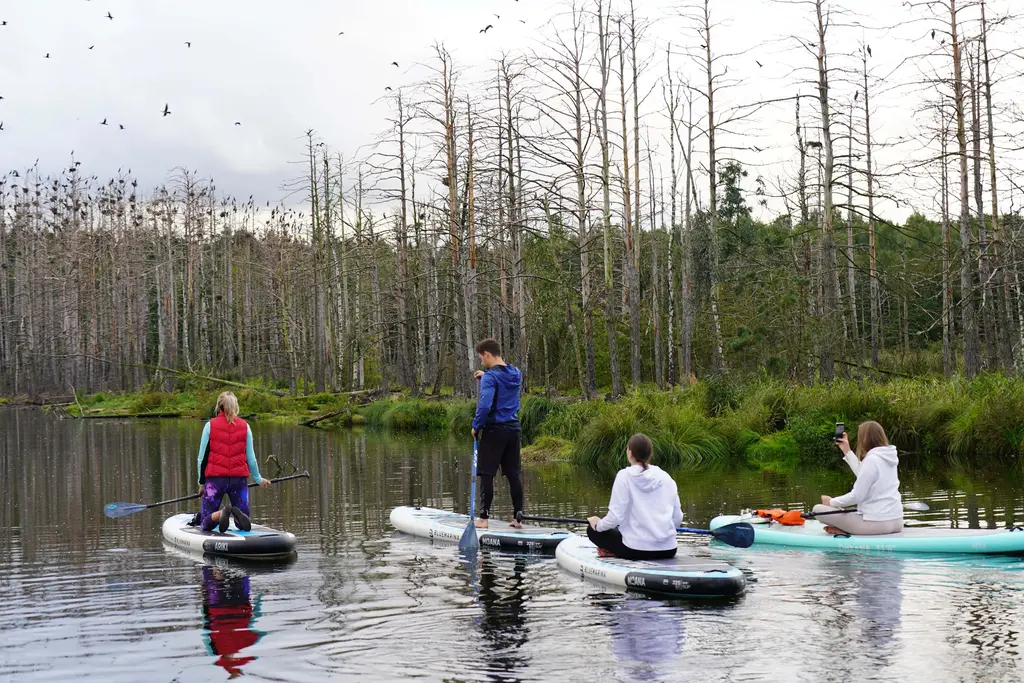 Boards You SUP adventure in Smarde swamp river
