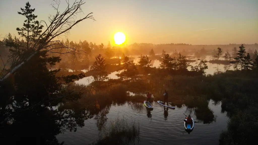 Boards You SUP adventure in Smarde swamp sunset