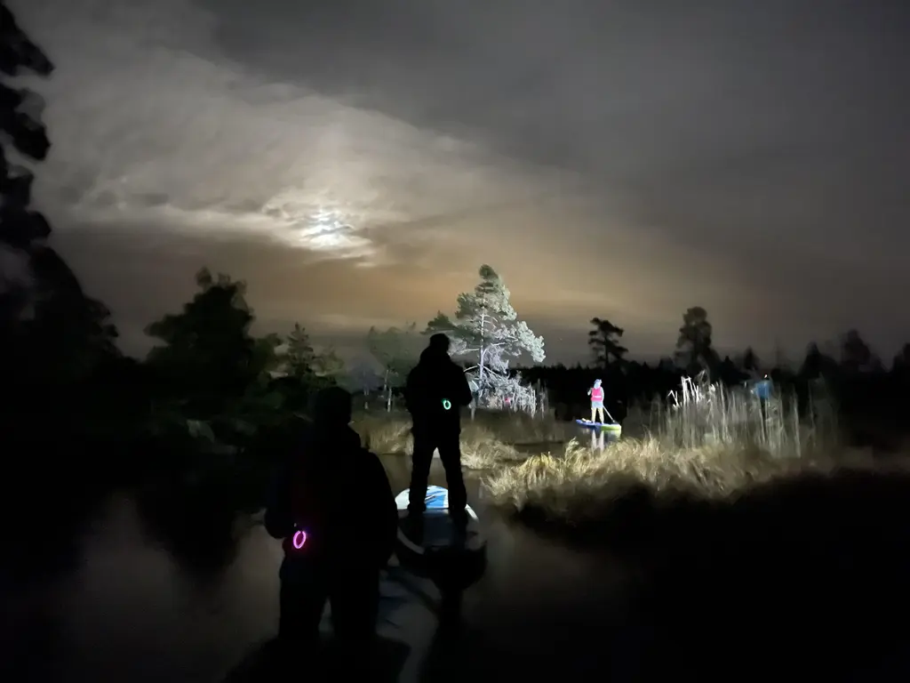 Boards you SUP and Kayak night ride in the swamp lake