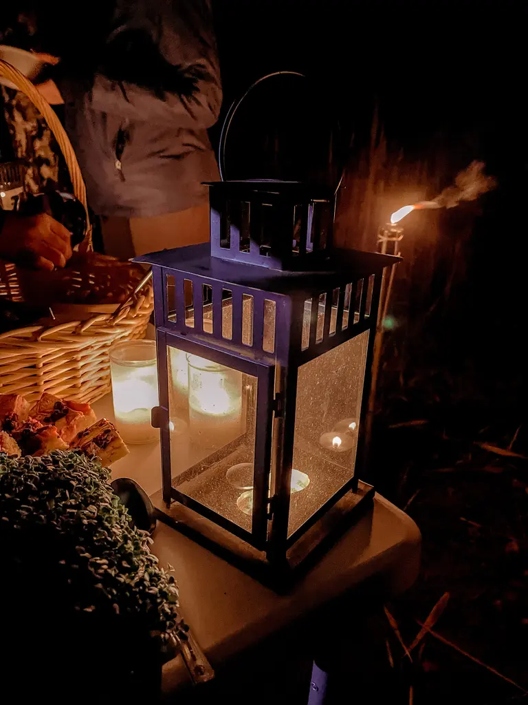 Boards you SUP and Kayak night ride in the swamp lantern