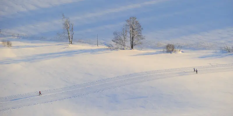 Skiing Tallinn snow winter outdoor Sven Zacek