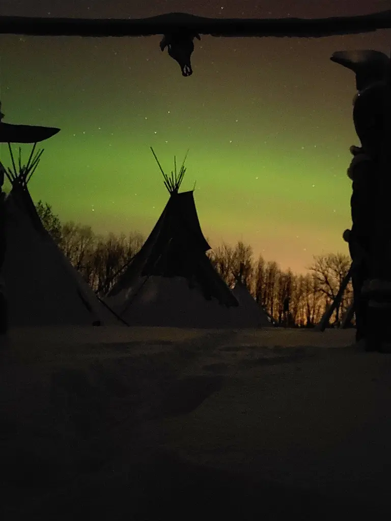 Preeriakoda wild aurora borealis outdoors winter estonia