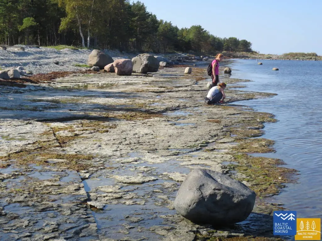 Baltic nature travel hiking1
