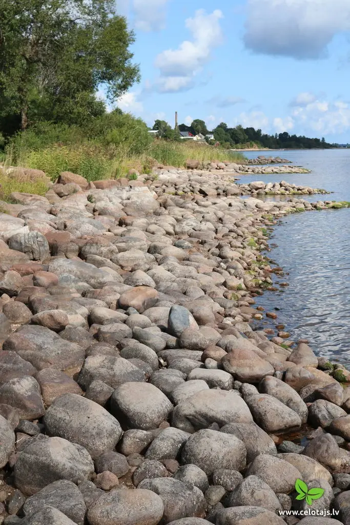 Baltic nature travel hiking foresttrail J Smalinskis