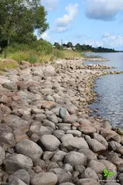 Baltic nature travel hiking foresttrail J Smalinskis