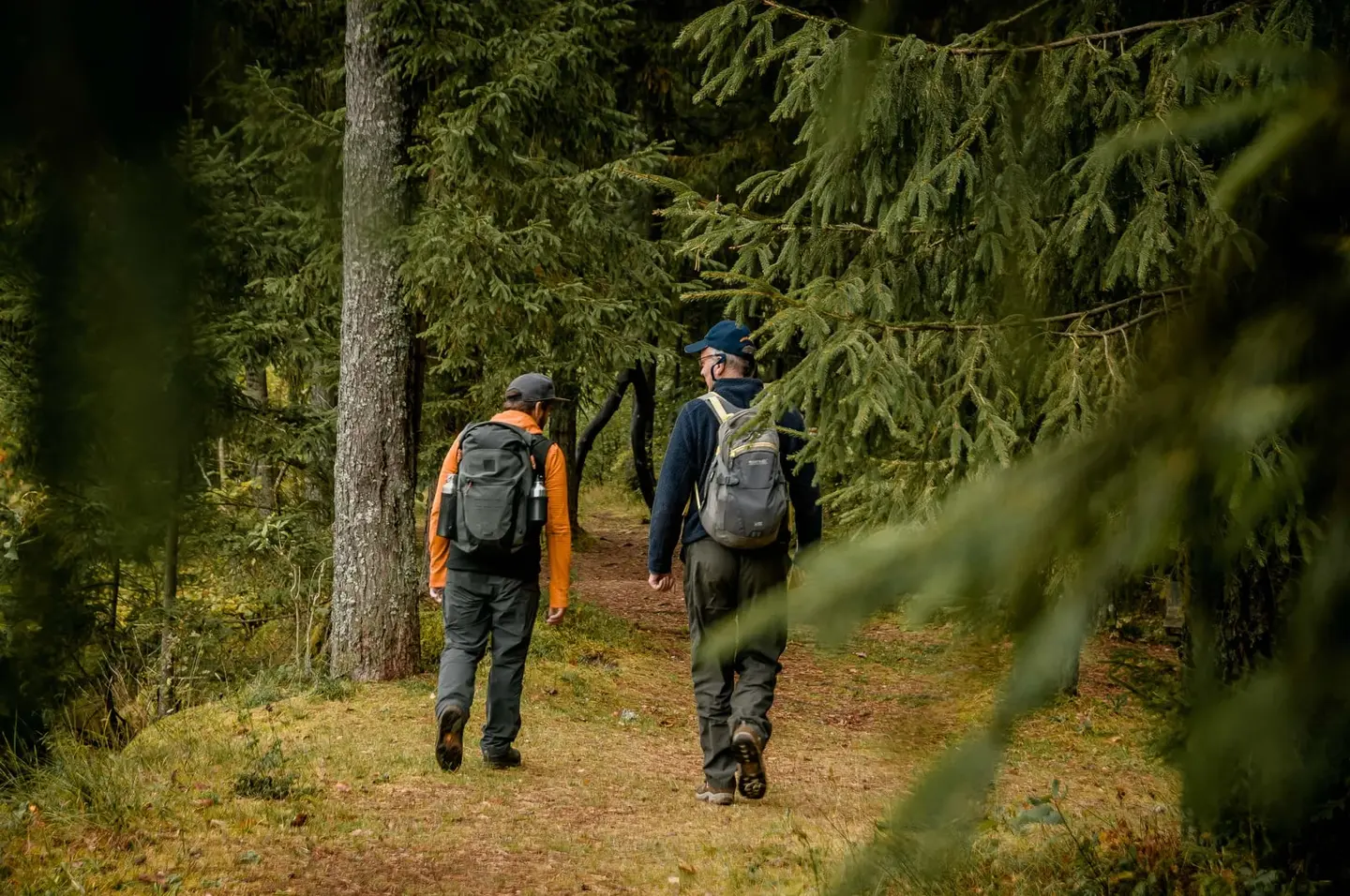 242794502 1687214304807296 1298181095070589348 n