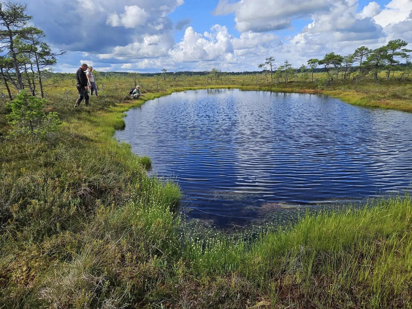 hike bog soomaa active nature
