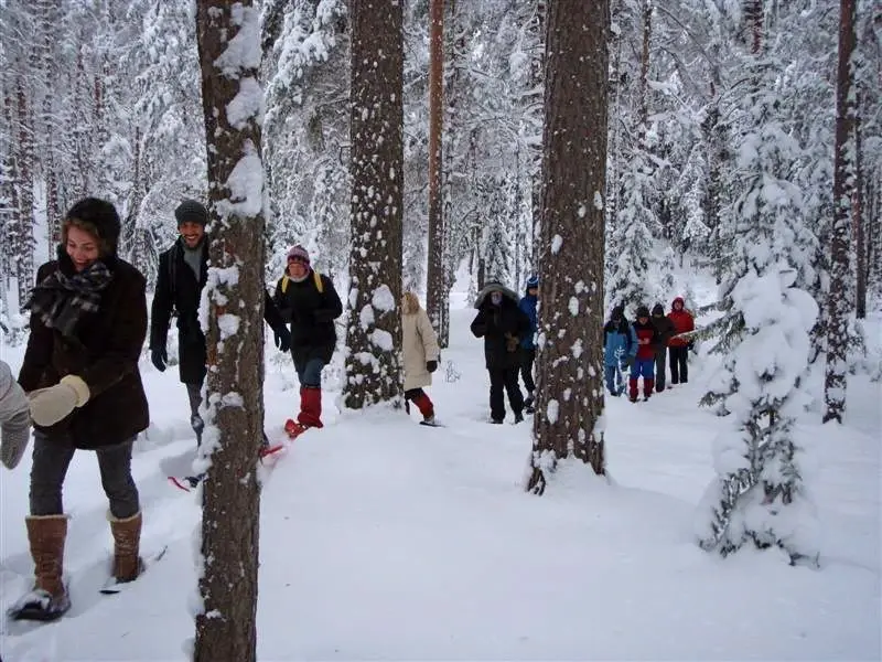 Nature hike bogshoe reimann Estonia outdoor