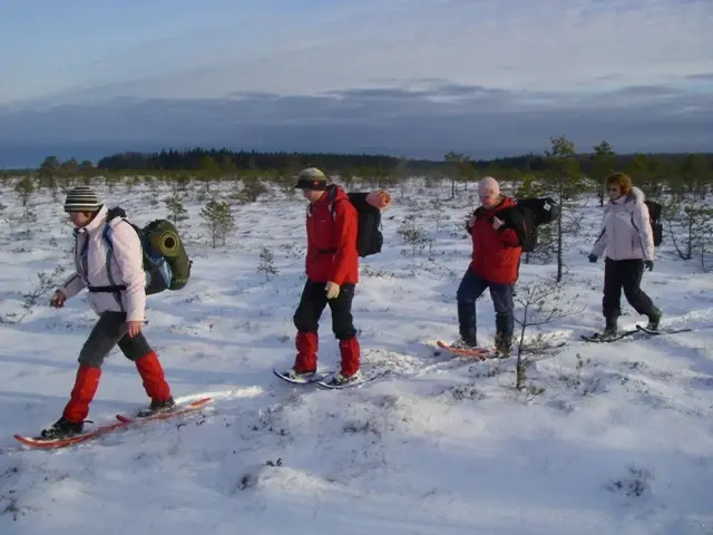 Nature hike bogshoe reimann Estonia outdoor winter