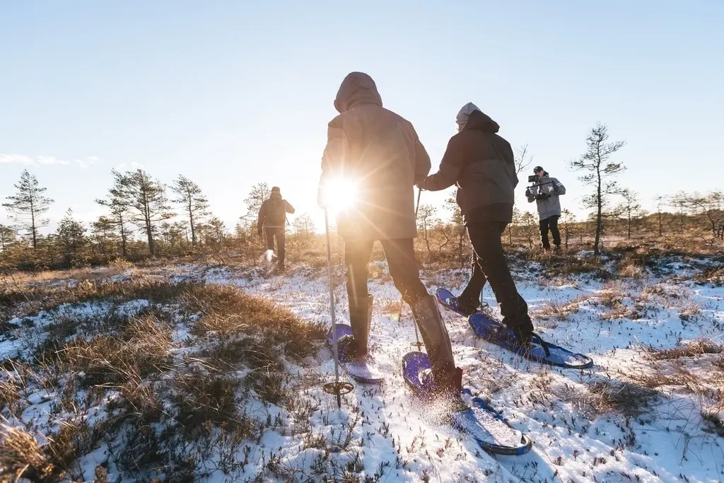 bog winter bogshoe hike estonia outdoor reimann