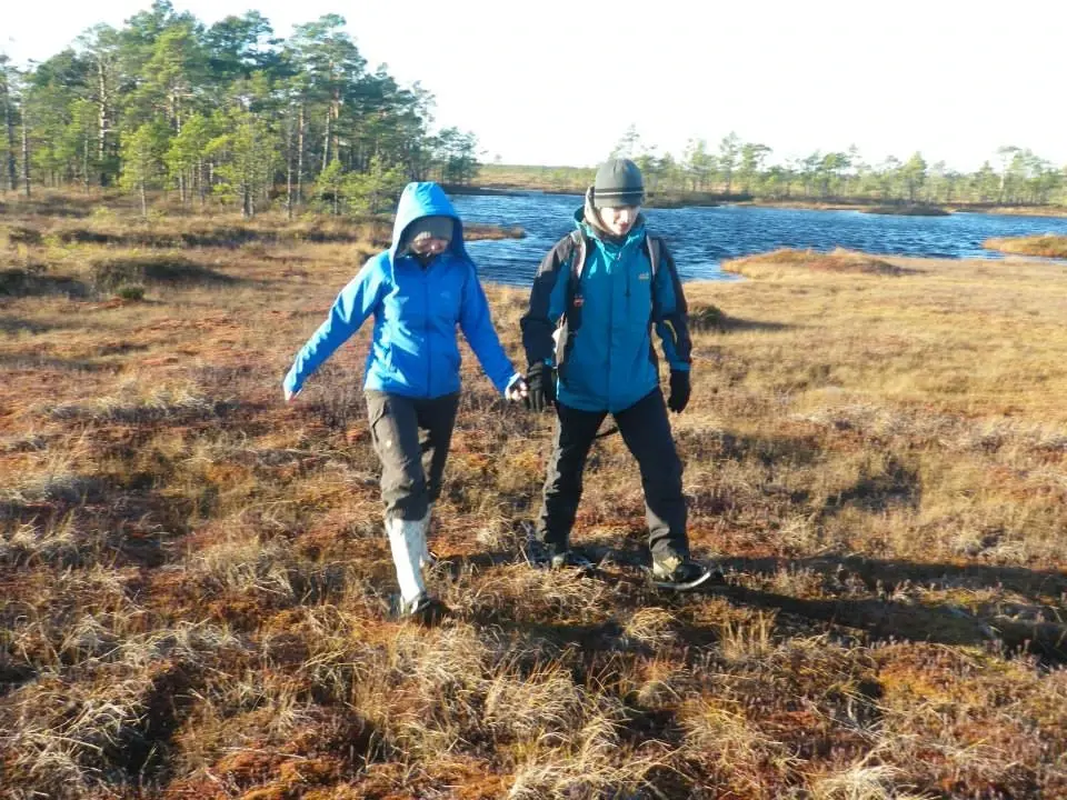 Nature hike bogshoe reimann Estonia bog