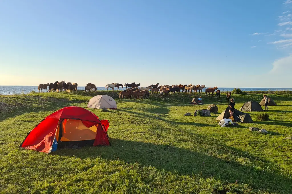 Kayaking sea estonia outdoors camping