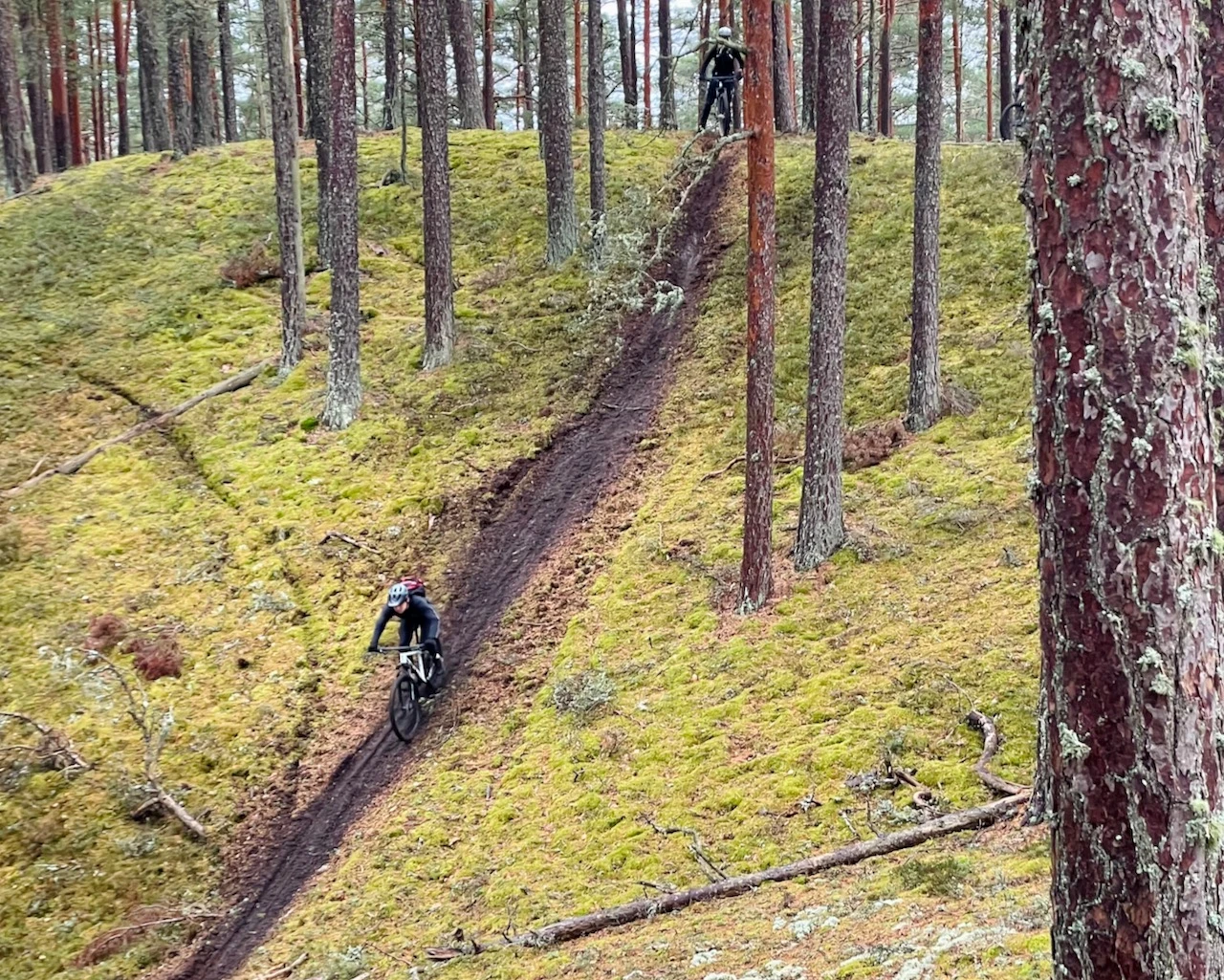 MTB estonia adventure bike outdoor Parnu
