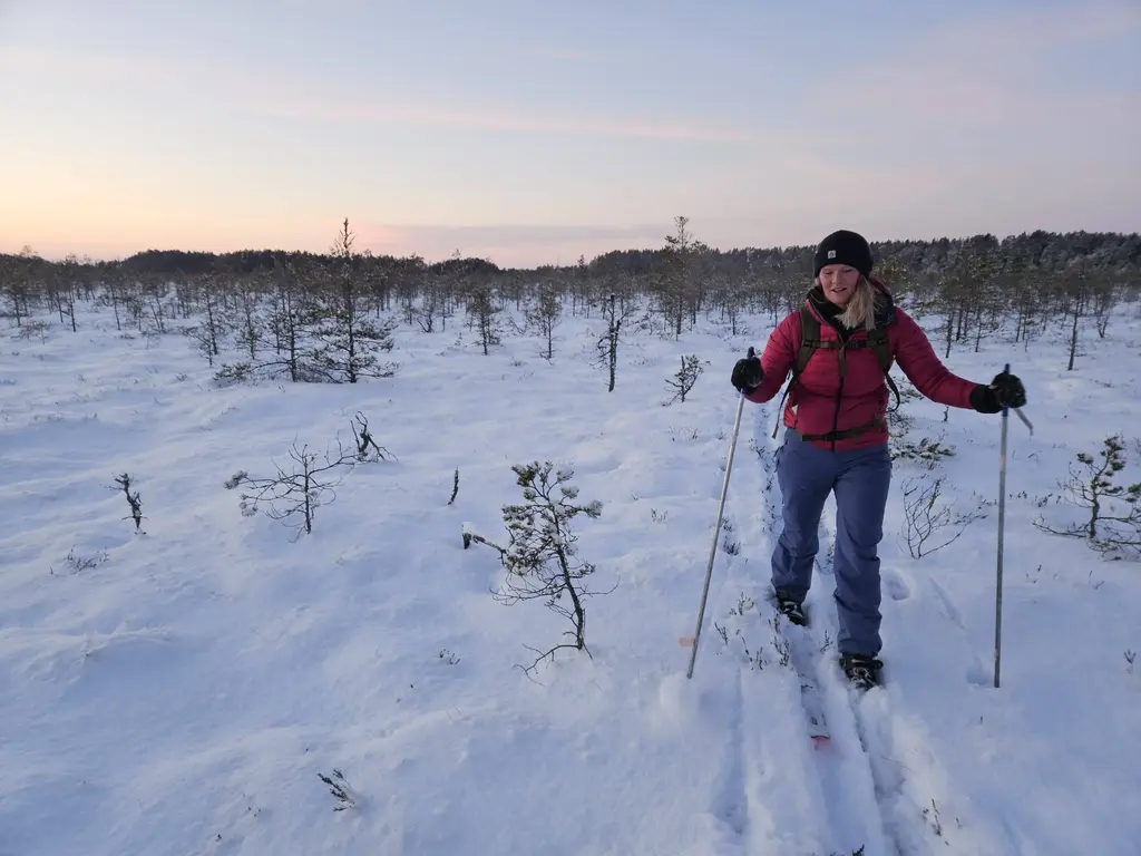 nordic ski estonia adventure haanja nature 1