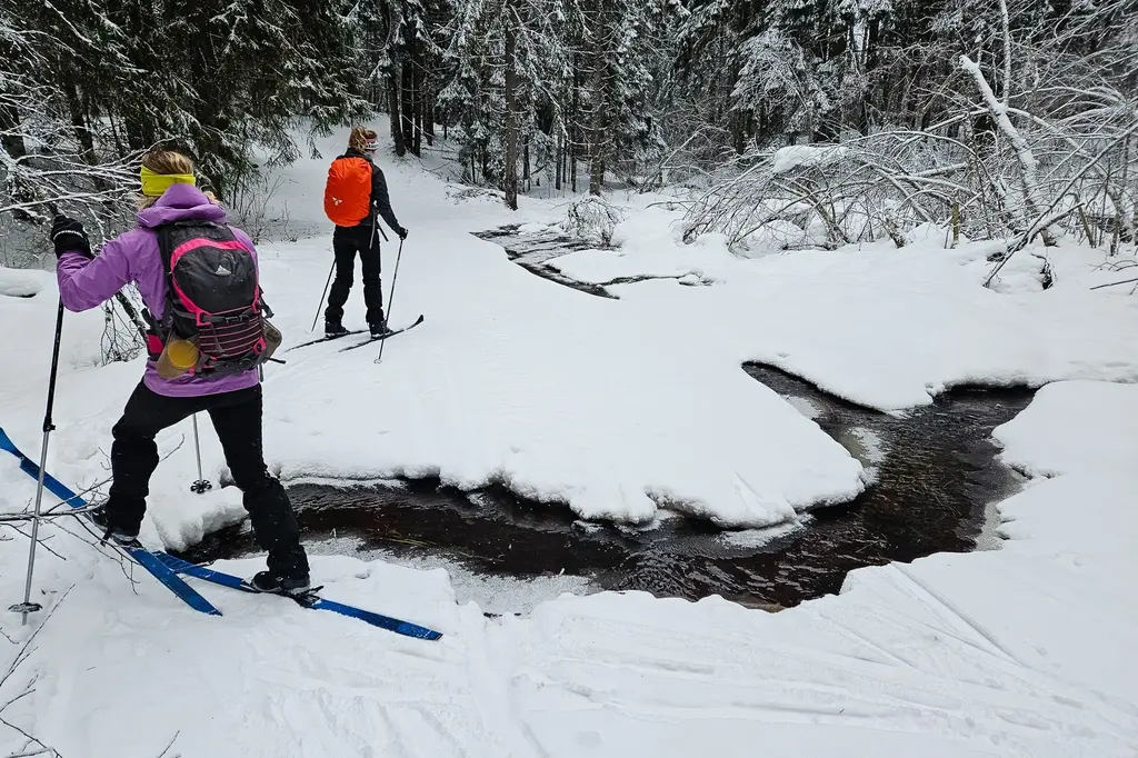 nordic ski estonia adventure haanja nature 2