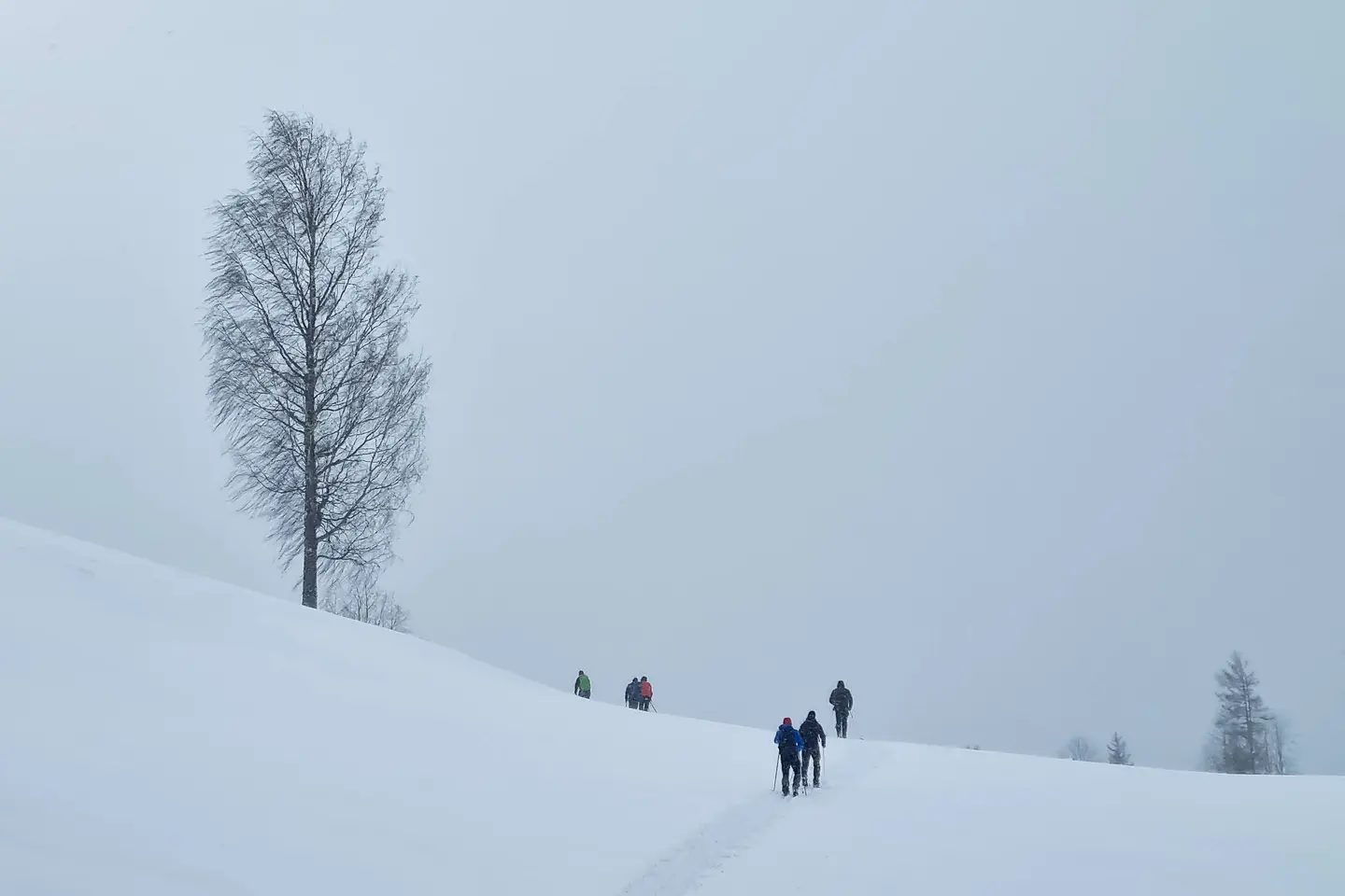 nordic ski estonia adventure haanja nature