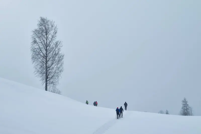 nordic ski estonia adventure haanja nature