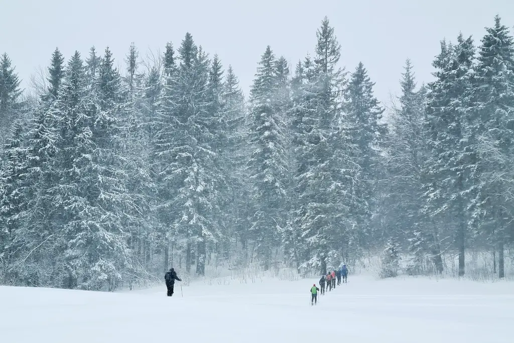 haanja ski tour adventure