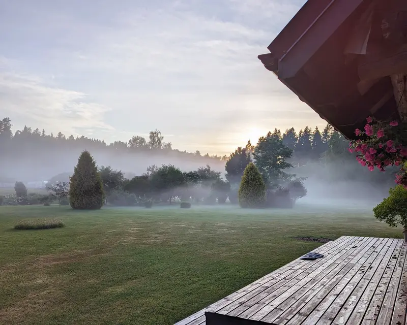 estonian wildnest resort nature sauna rituals southestonia