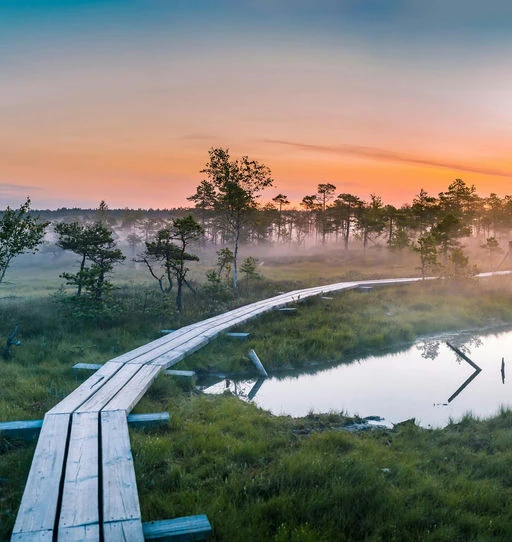 latvian heritage experience