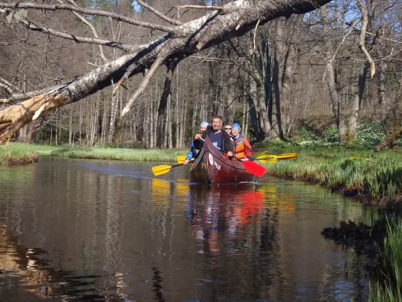 aktivest canoeing nature estonia