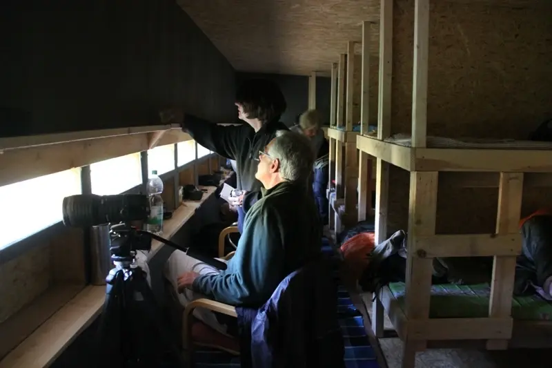 aktivest hike bearwatch wildlife estonia