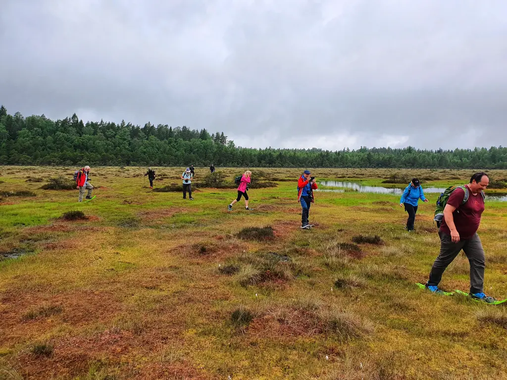 aktivest hike nature bog bogshoe estonia