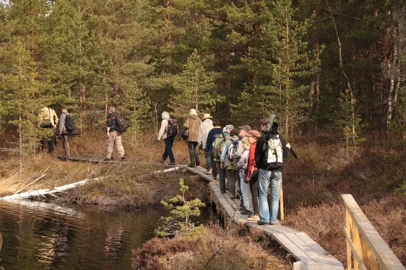 aktivest hike nature wildlife estonia