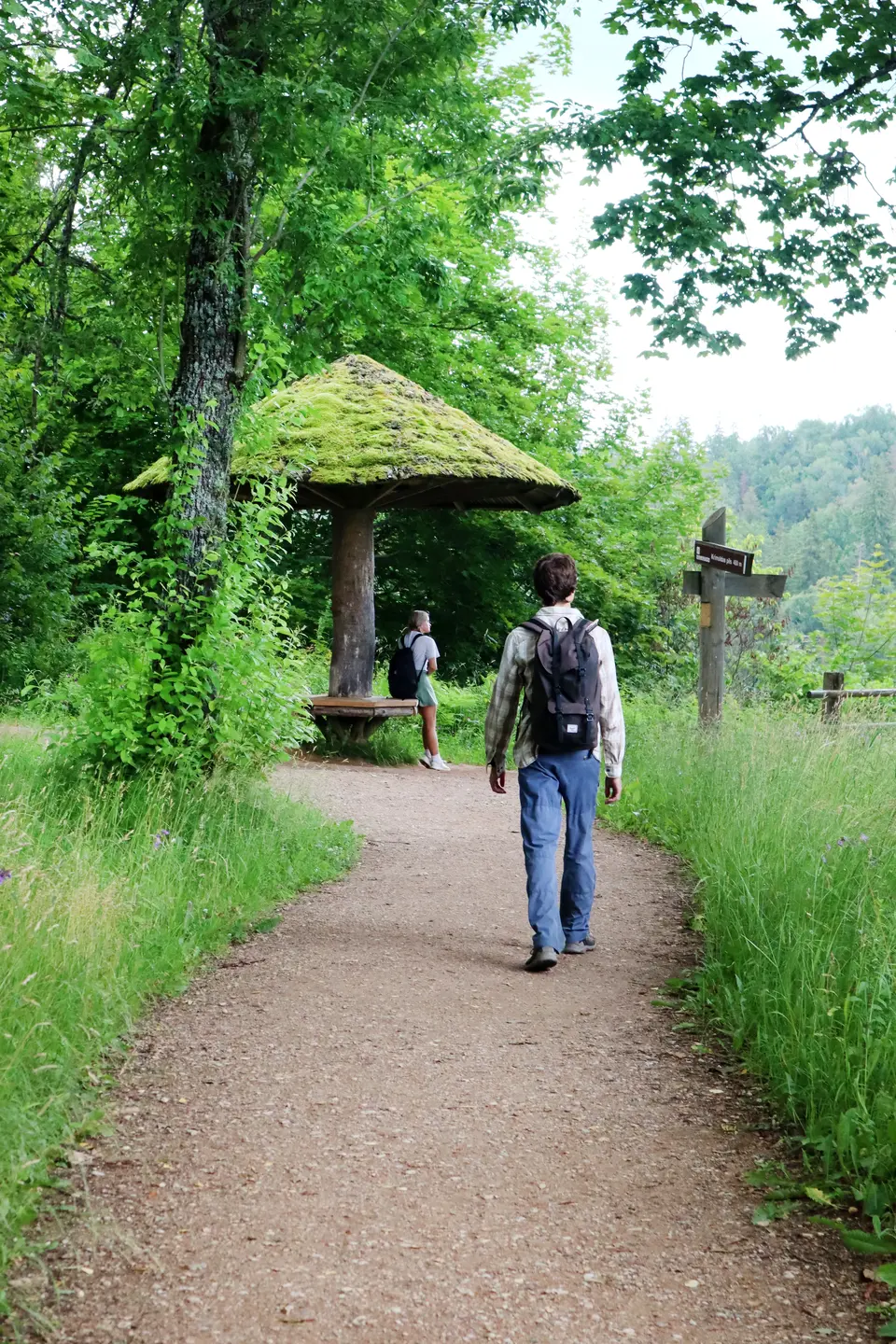 piedzivo hiking adventure sigulda