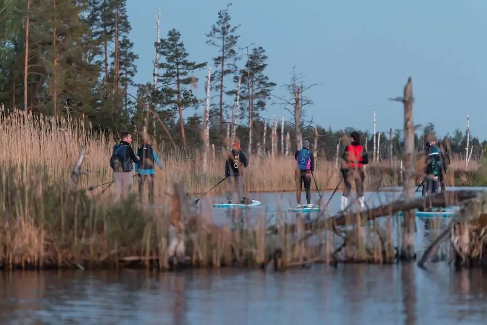 supfit sunrise sup board kemeri sunrise kemeri 8