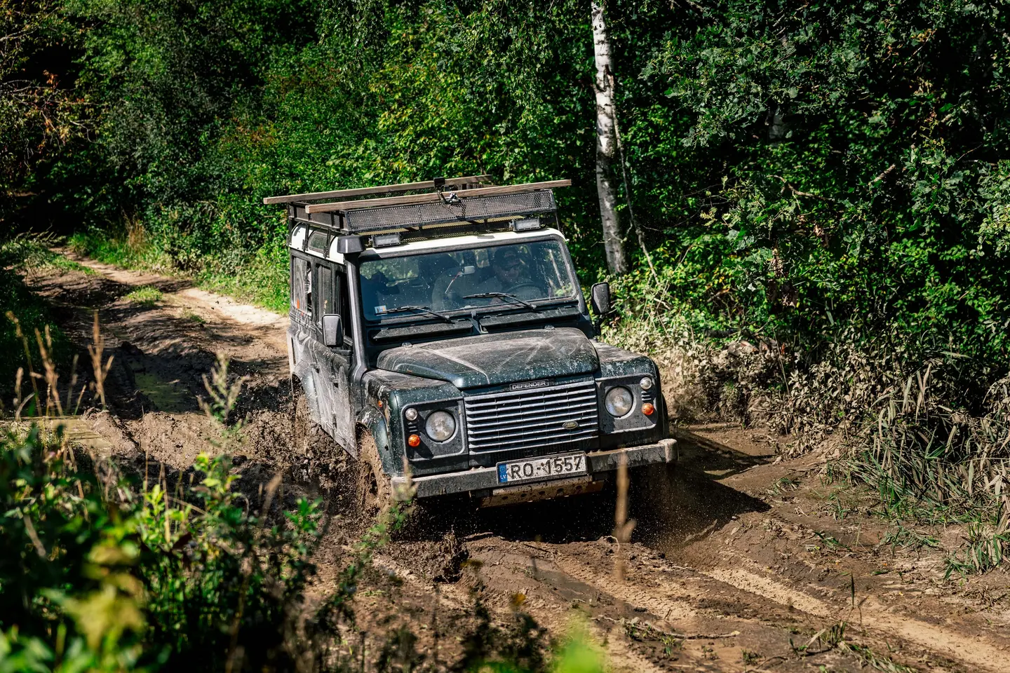 daba laba safari trip latvia