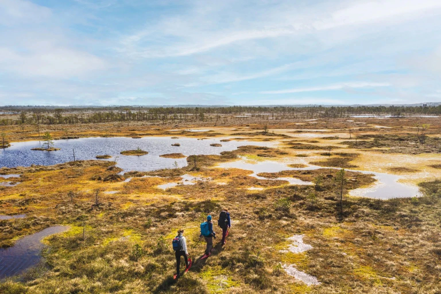 bogshoe hiking in Sooma national park